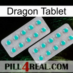 Dragon Tablet 29